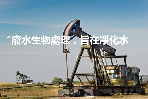 “廢水生物處理，旨在凈化水源，守護碧水藍天”